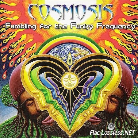 Cosmosis - Fumbling For The Funky Frequency (2009) FLAC