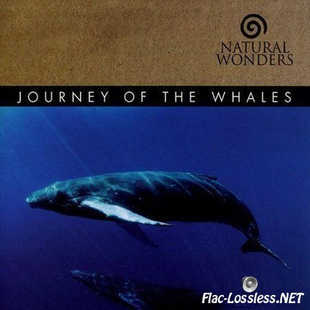 David Arkenstone - Journey of the Whales (2008) FLAC (image + .cue)