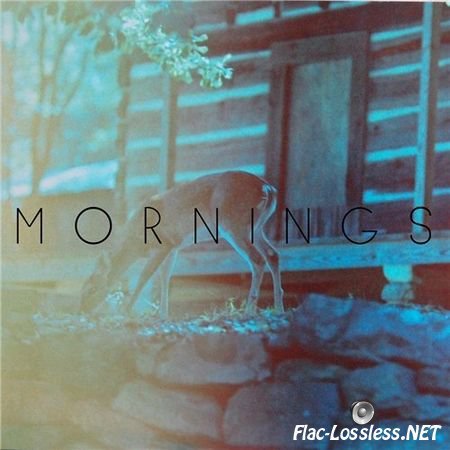 Mornings - Mornings (2015) FLAC