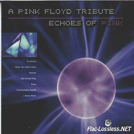 VA - Echoes of Pink: A Pink Floyd Tribute (2002) FLAC (image + .cue)