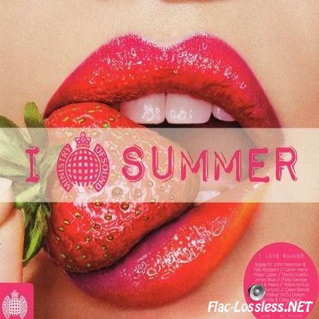 VA - Ministry Of Sound: I Love Summer (2016) FLAC (tracks + .cue)