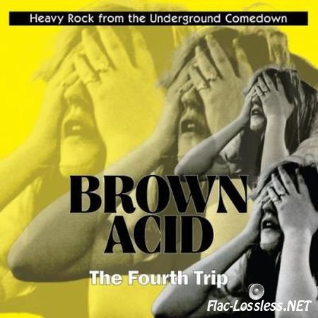 VA - Brown Acid: The Fourth Trip (2017) FLAC