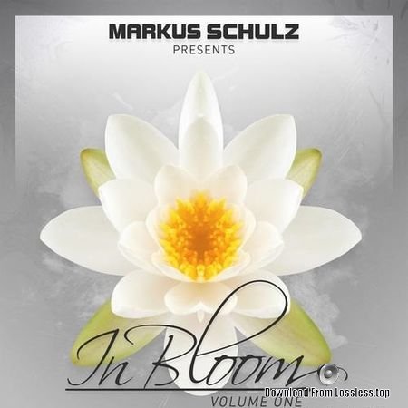 Markus Schulz - Markus Schulz presents In Bloom EP Vol 1 (2018) FLAC (tracks)