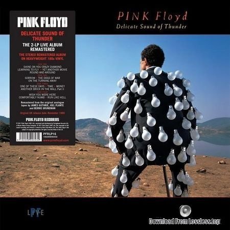 Pink Floyd - Delicate Sound Of Thunder (1988, 2017) [Vinyl] FLAC (tracks)