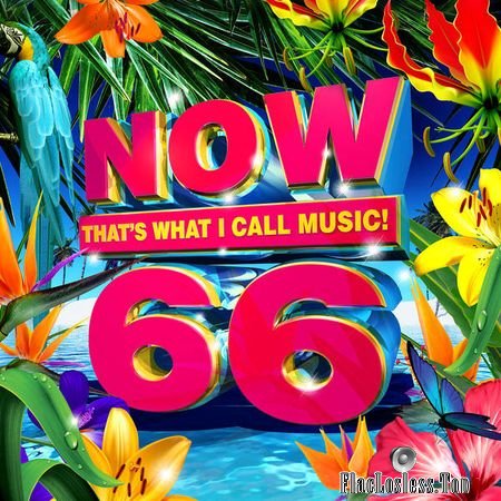 VA - Now Thats What I Call Music! 66 (US) (2018) FLAC