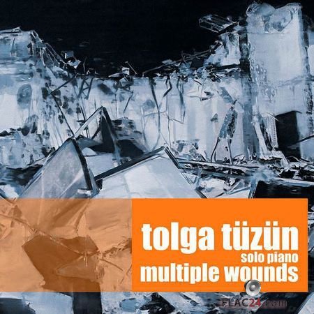 Tolga Tuzun - Multiple Wounds (2017) (24bit Hi-Res) FLAC