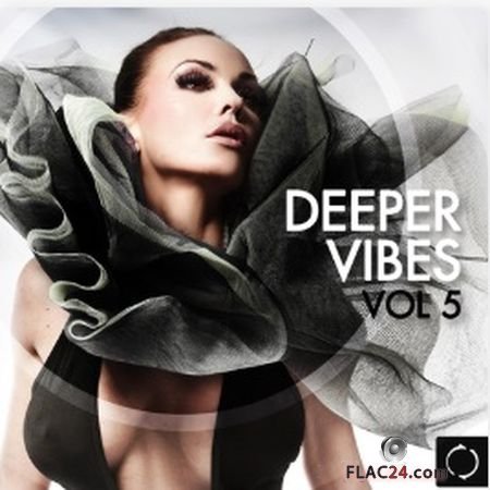 VA - Deeper Vibes, Vol. 5 (2014) FLAC