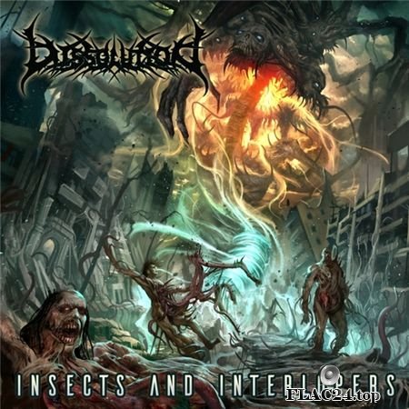 Dissolution - Insects and Interlopers (2019) (24bit Hi-Res) FLAC