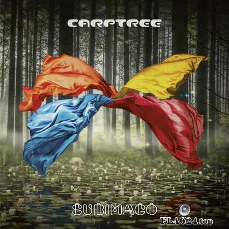 Carptree - Subimago (2018) FLAC (tracks+.cue)