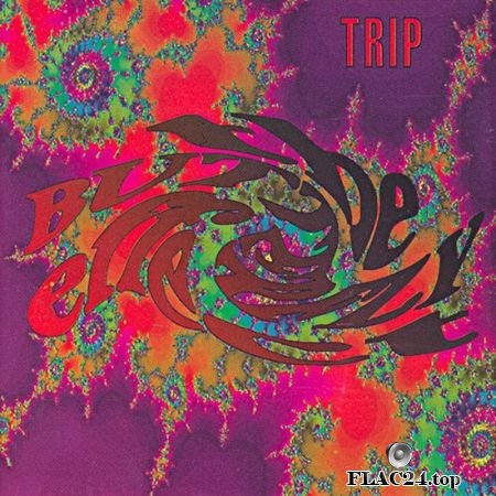 The Butterfly Effect - Trip (1991) FLAC (image+.cue)