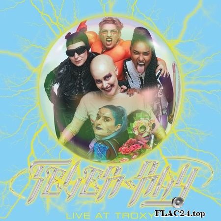 Fever Ray - Live at Troxy (2019) (24bit Hi-Res) FLAC (tracks)