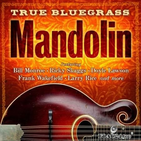VA - True Bluegrass Mandolin (2019) FLAC