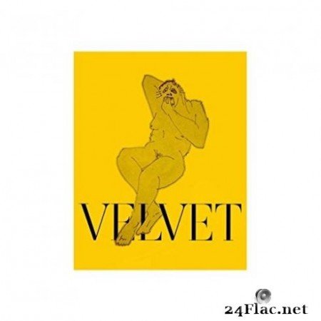 Velvet Negroni &#8211; NEON BROWN (2019)