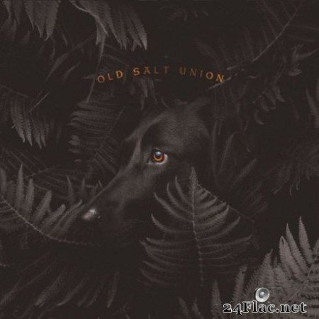 Old Salt Union &#8211; Where The Dogs Don&#8217;t Bite (2019)