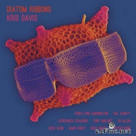 Kris Davis - Diatom Ribbons (2019)