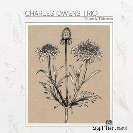 Charles Owens Trio - Three and Thirteen (2019)