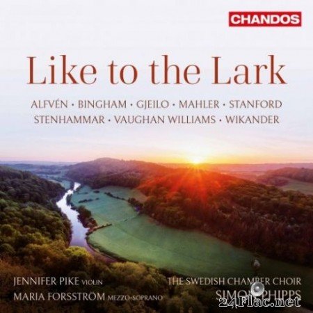 Swedish Chamber Choir & Simon Phipps - Like to the Lark (2019) Hi-Res
