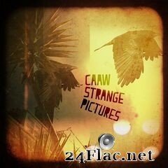 Caaw - Strange Pictures (2019) FLAC