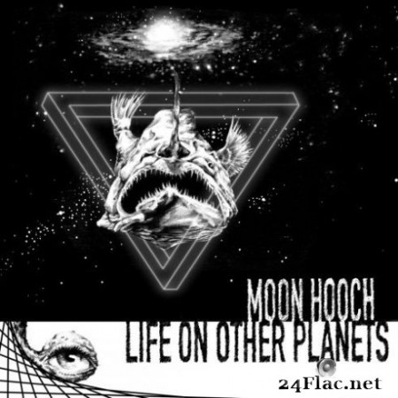 Moon Hooch - Life on Other Planets (2020) FLAC