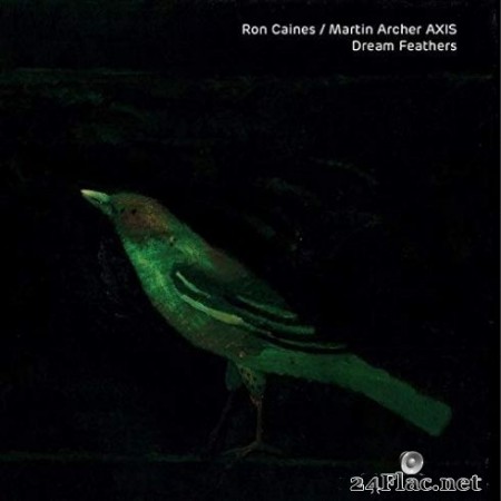 Ron Caines & Martin Archer Axis - Dream Feathers (2020) FLAC