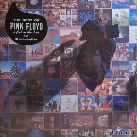 Pink Floyd - A Foot In The Door (The Best Of Pink Floyd) (2018) Vinyl