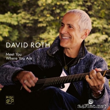 David Roth - Meet You Where You Are (2020) Hi-Res