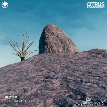 Victim - Uncharted EP (2020) Hi-Res