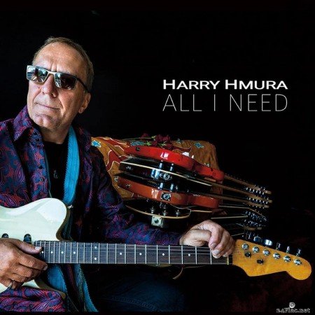 Harry Hmura - All I Need (2020) FLAC