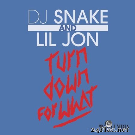 DJ Snake & Lil Jon - Turn Down for What (2013) FLAC (tracks)