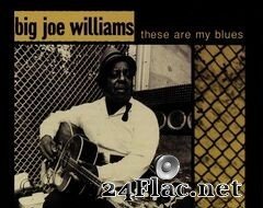 Big Joe Williams - These Are My Blues (Live) (2020) FLAC