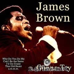 James Brown - Gonna Try (2020) FLAC