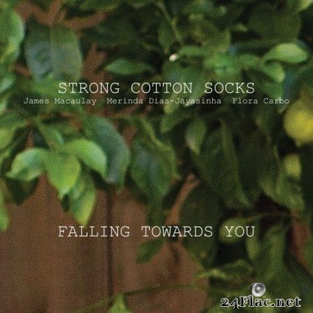 Strong Cotton Socks - Falling Towards You (2020) FLAC