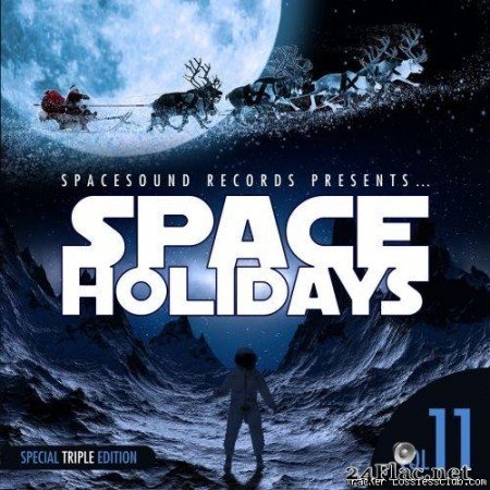 VA - Space Holidays Vol. 11 (2019) [FLAC (tracks)]