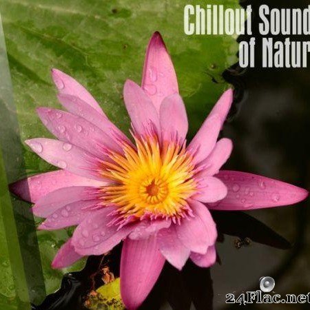 VA - Chillout Sounds Of Nature (2018) [FLAC (tracks)]