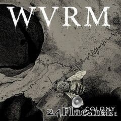 WVRM - Colony Collapse (2020) FLAC