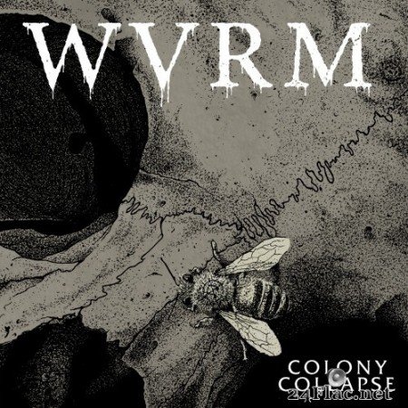 WVRM - Colony Collapse (2020) Hi-Res