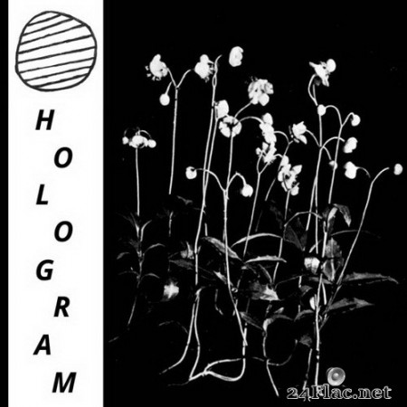 Hologram - Build Yourself Up So Many Times Only To Be Brought Down Again And Again (2020) Hi-Res