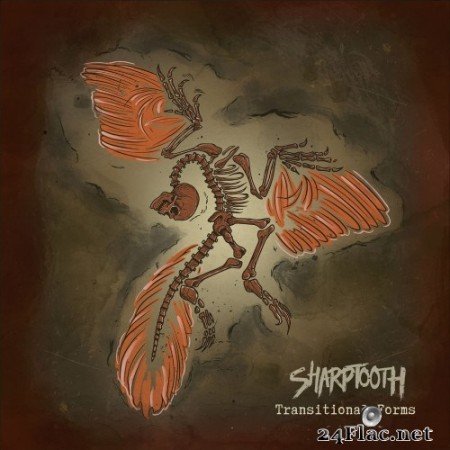 Sharptooth - Transitional Forms (2020) Hi-Res