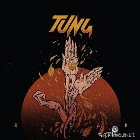 Tung - Bleak (2020) FLAC