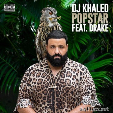 DJ Khaled feat. Drake - POPSTAR (Single) (2020) Hi-Res