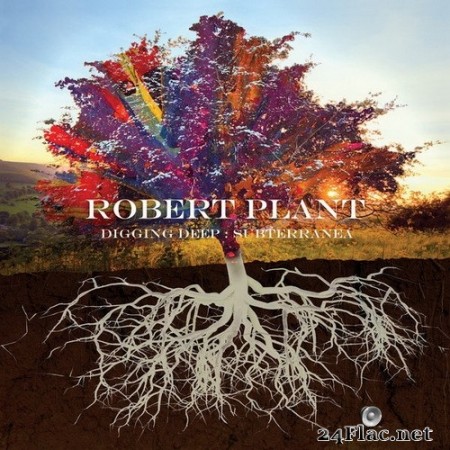 Robert Plant - Too Much Alike (with Patty Griffin) (Single) (2020) Hi-Res