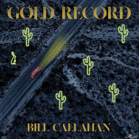 Bill Callahan - Gold Record (2020) FLAC