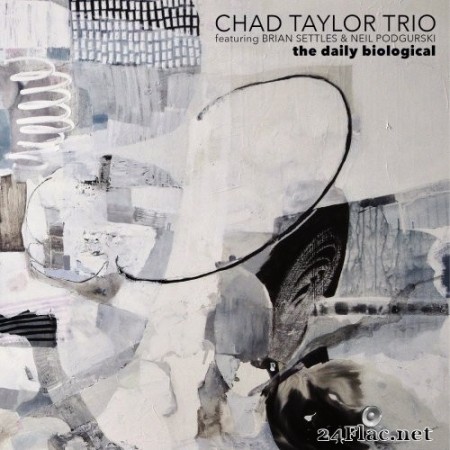 Chad Taylor Trio - The Daily Biological (2020) Hi-Res