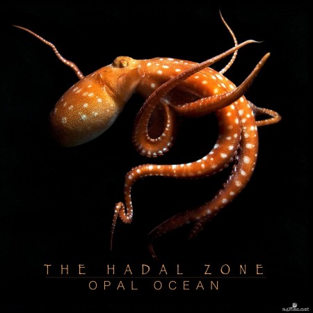 Opal Ocean - The Hadal Zone (2020) Hi-Res