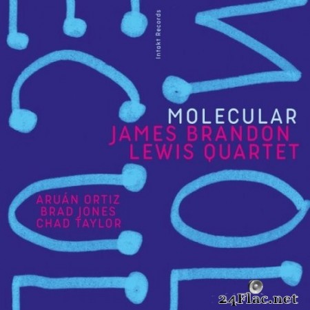 James Brandon Lewis Quartet, Aruán Ortiz, Brad Jones, Chad Taylor - Molecular (2020) Hi-Res