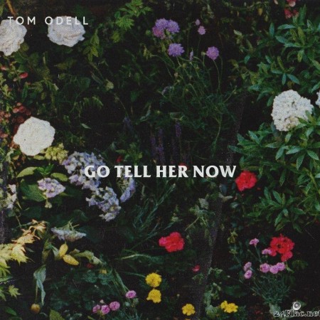 Tom Odell - Go Tell Her Now (Acoustic) (2019) [FLAC (tracks)]