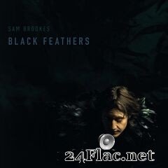 Sam Brookes - Black Feathers (2020) FLAC