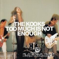 The Kooks - Too Much Is Not Enough (Deluxe Edition) (2020) FLAC