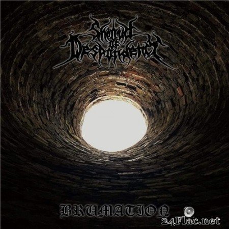 Shroud Of Despondency - Brumation (2020) Hi-Res