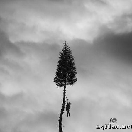 Manchester Orchestra - A Black Mile To The Surface (2017) [FLAC (tracks)]